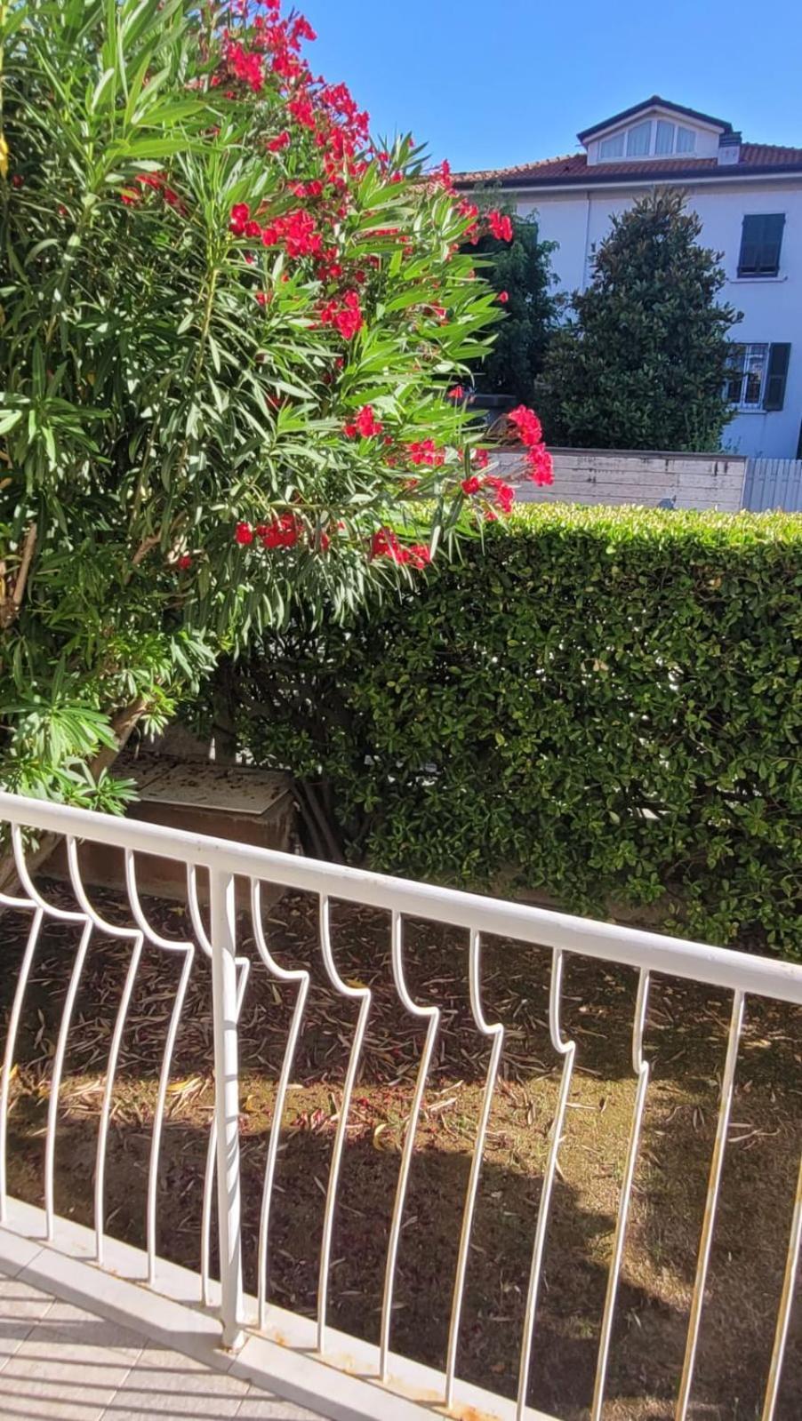 מרינה די קררה Appartamento Stella Marina A Due Passi Dal Mare E Dal Centro מראה חיצוני תמונה